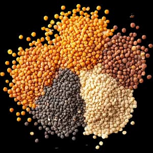 Grains & Pulses