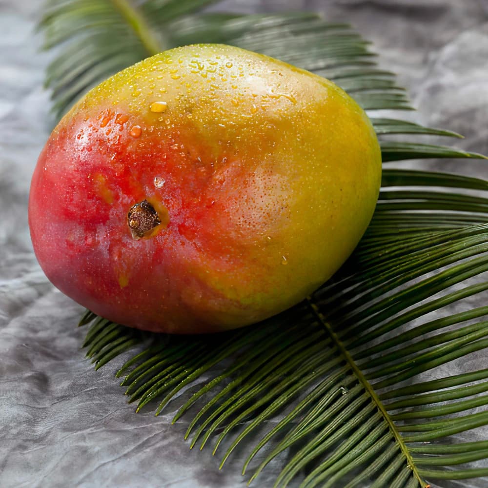 Alphonso Mangoes