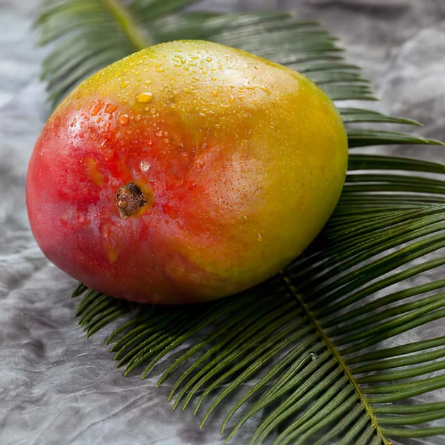 Alphonso Mangoes