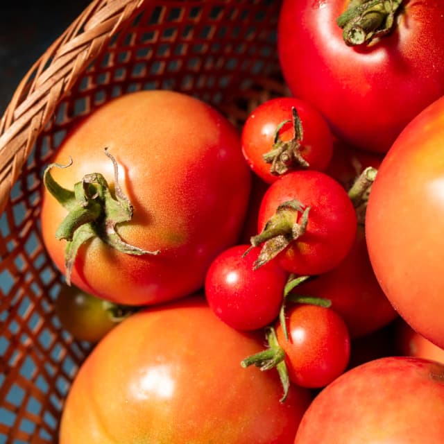 Organic Tomatoes